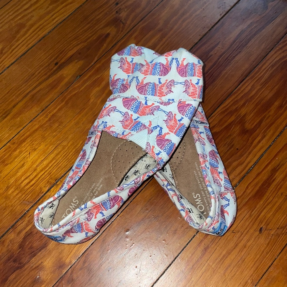 Toms with rhinos